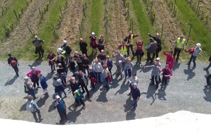 Rando à Rochefort sur Loire