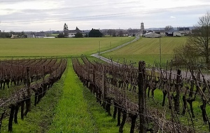 Rando à Chemellier