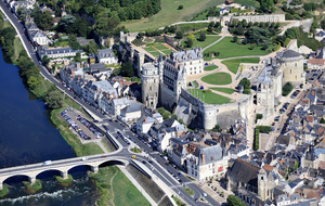 Visite d'Amboise et Chaumont sur Loire