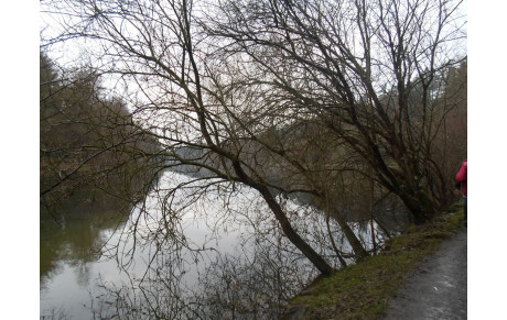 Rando Etang Saint Nicolas