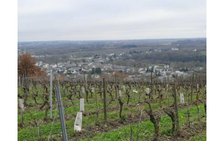 Rando à Rochefort sur Loire