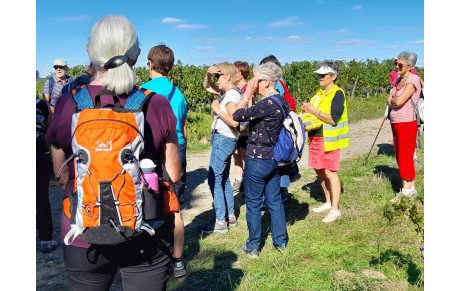 Randos à Rablay sur Layon