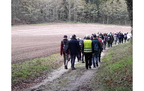 Rando à Chemellier