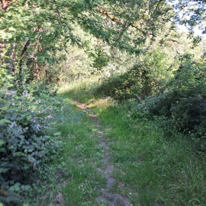 Rando St Georges des 7 Voies