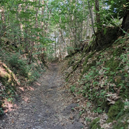 Rando St Georges des 7 Voies