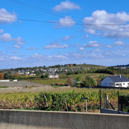 Rando Chalonnes sur Loire 19-10-26