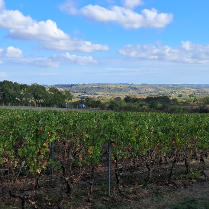 Rando Chalonnes sur Loire 19-10-26