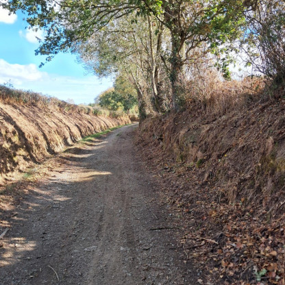 Rando Chalonnes sur Loire 19-10-26
