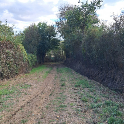 Rando Chalonnes sur Loire 19-10-26