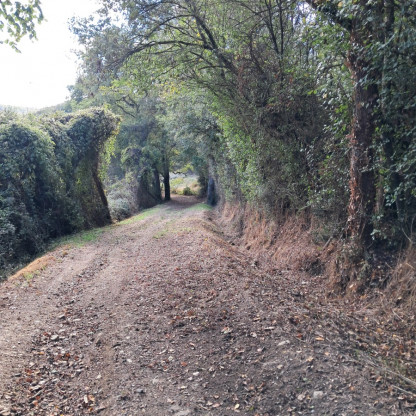 Rando Chalonnes sur Loire 19-10-26